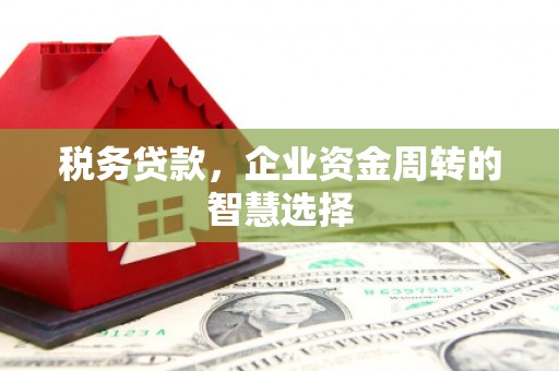 长兴税务贷款，企业资金周转的智慧选择