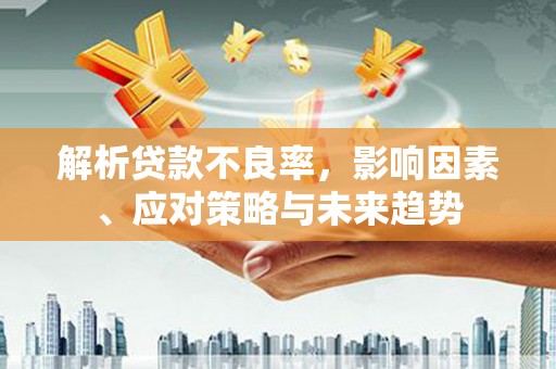 长兴解析贷款不良率，影响因素、应对策略与未来趋势