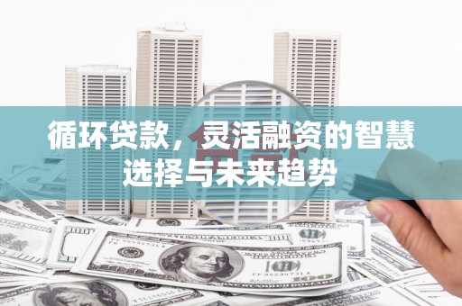 长兴循环贷款，灵活融资的智慧选择与未来趋势