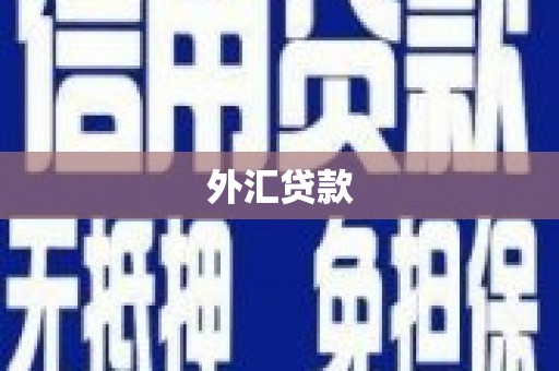 长兴外汇贷款