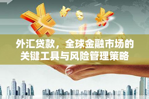 长兴外汇贷款，全球金融市场的关键工具与风险管理策略