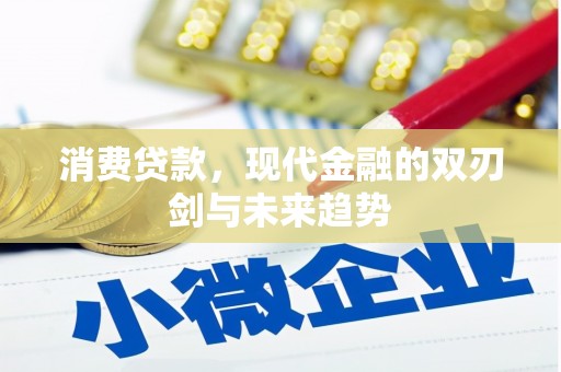 长兴消费贷款，现代金融的双刃剑与未来趋势