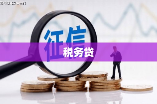 长兴税务贷