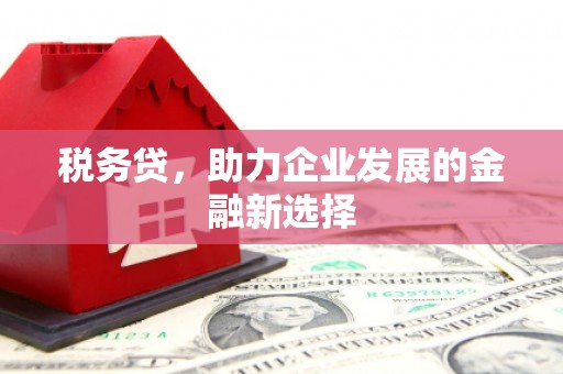 长兴税务贷，助力企业发展的金融新选择