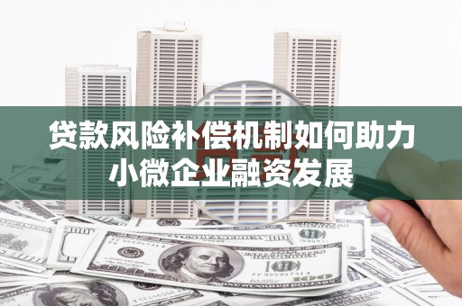 长兴贷款风险补偿机制如何助力小微企业融资发展