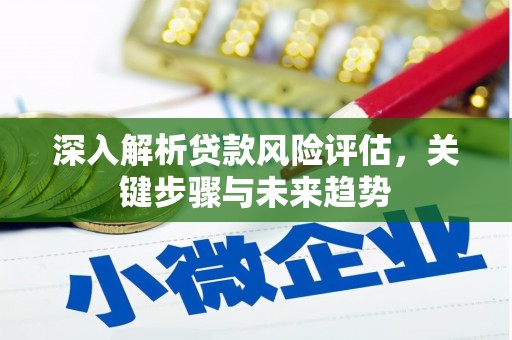 长兴深入解析贷款风险评估，关键步骤与未来趋势