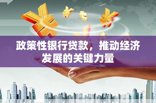 长兴政策性银行贷款，推动经济发展的关键力量