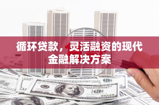 长兴循环贷款，灵活融资的现代金融解决方案