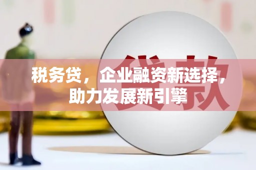 长兴税务贷，企业融资新选择，助力发展新引擎