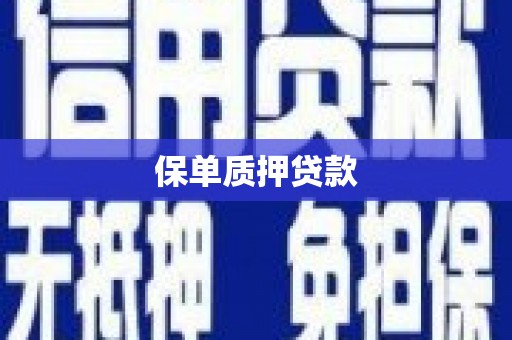 长兴保单质押贷款