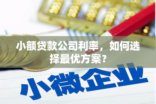 长兴小额贷款公司利率，如何选择最优方案？