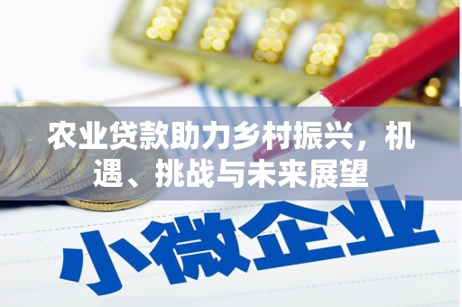 长兴农业贷款助力乡村振兴，机遇、挑战与未来展望