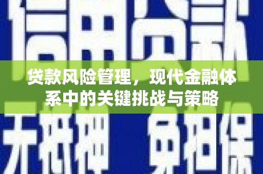 长兴贷款风险管理，现代金融体系中的关键挑战与策略