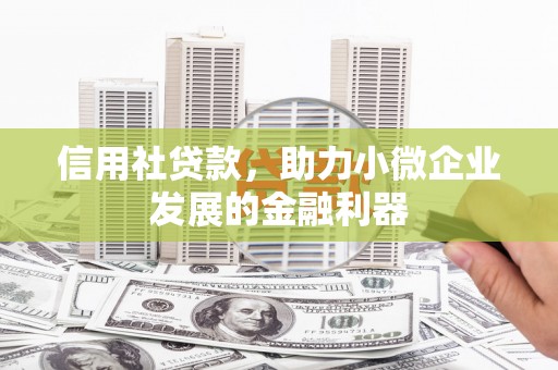 长兴信用社贷款，助力小微企业发展的金融利器