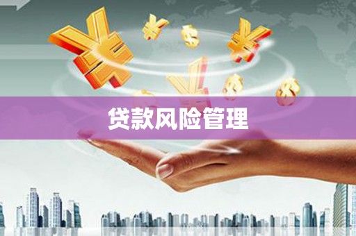 长兴贷款风险管理