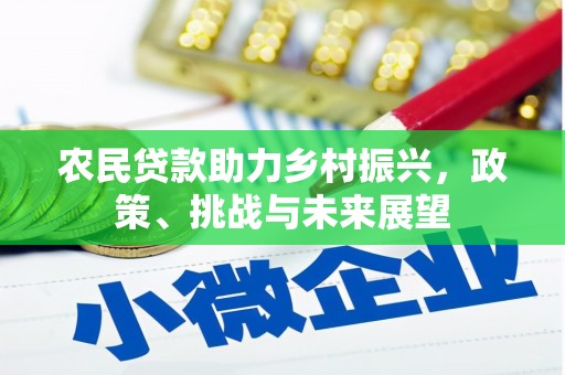 长兴农民贷款助力乡村振兴，政策、挑战与未来展望