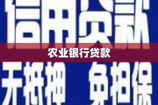 长兴农业银行贷款