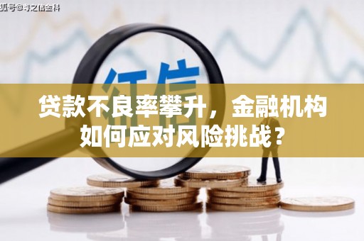 长兴贷款不良率攀升，金融机构如何应对风险挑战？