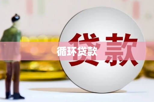 长兴循环贷款