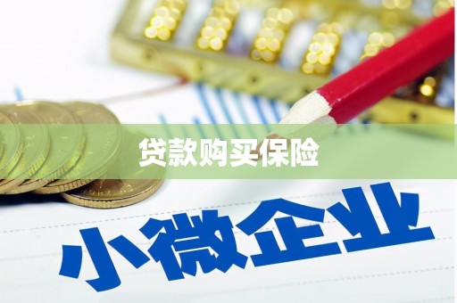 长兴贷款购买保险