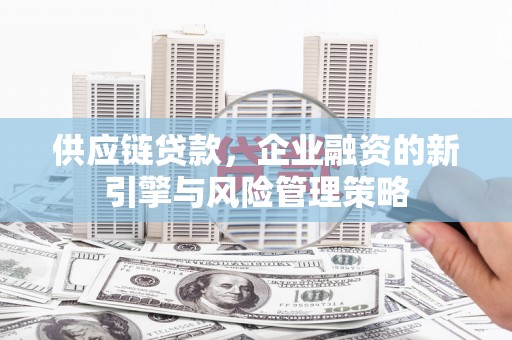 长兴供应链贷款，企业融资的新引擎与风险管理策略