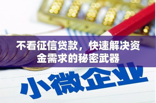 长兴不看征信贷款，快速解决资金需求的秘密武器