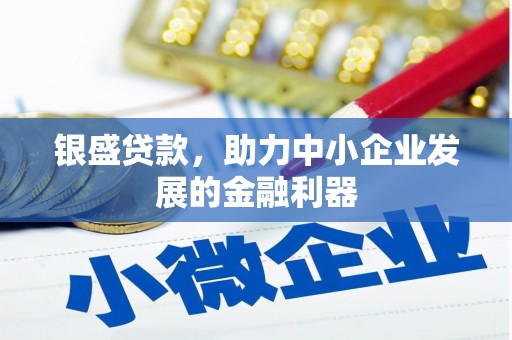 长兴银盛贷款，助力中小企业发展的金融利器