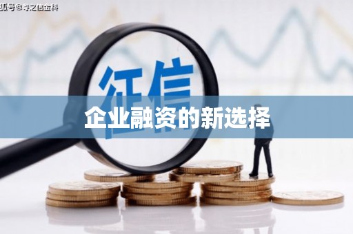 长兴企业融资的新选择