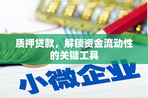 长兴质押贷款，解锁资金流动性的关键工具