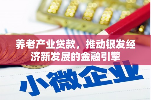 长兴养老产业贷款，推动银发经济新发展的金融引擎