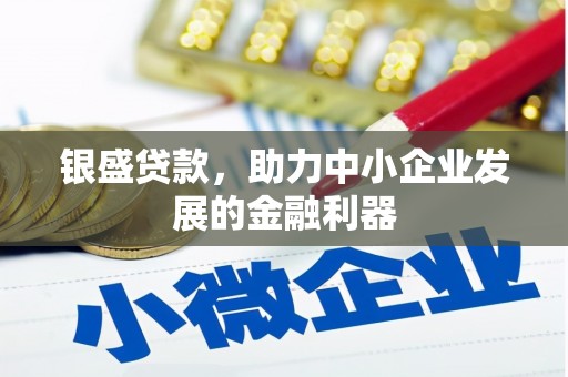 长兴银盛贷款，助力中小企业发展的金融利器