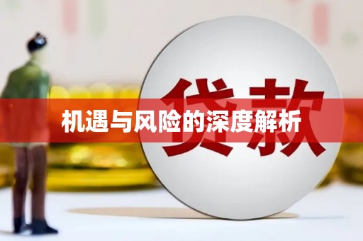 长兴机遇与风险的深度解析