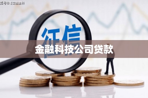 长兴金融科技公司贷款