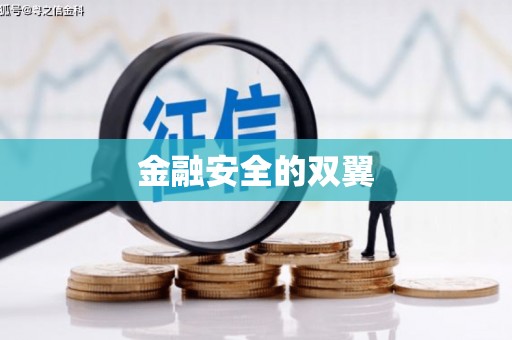 长兴金融安全的双翼
