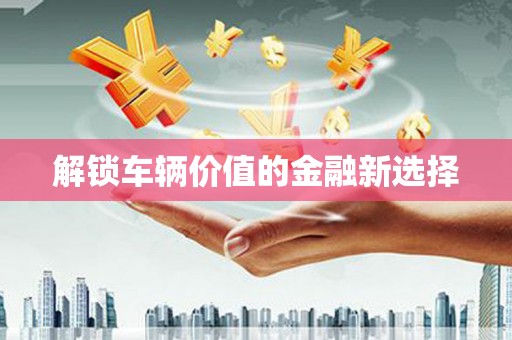 长兴解锁车辆价值的金融新选择