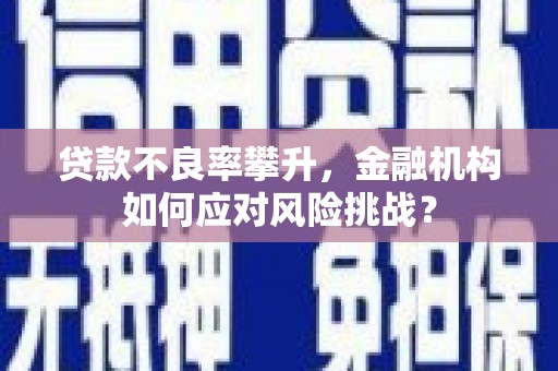长兴贷款不良率攀升，金融机构如何应对风险挑战？