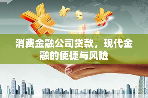 长兴消费金融公司贷款，现代金融的便捷与风险