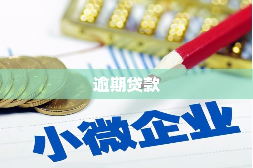 长兴逾期贷款