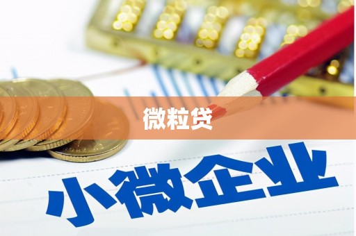 长兴微粒贷