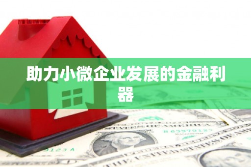 长兴助力小微企业发展的金融利器