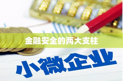 长兴金融安全的两大支柱