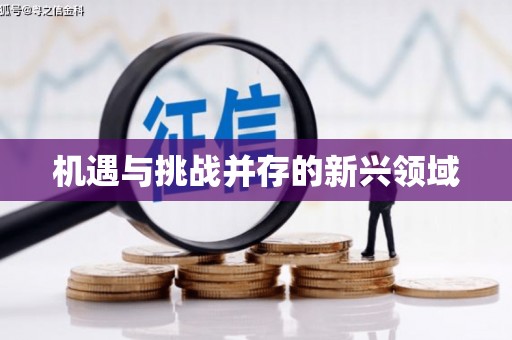 长兴机遇与挑战并存的新兴领域