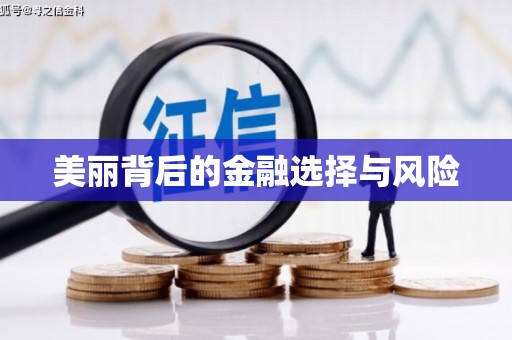 长兴美丽背后的金融选择与风险