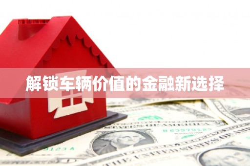 长兴解锁车辆价值的金融新选择