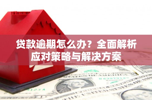 长兴贷款逾期怎么办？全面解析应对策略与解决方案
