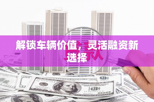 长兴解锁车辆价值，灵活融资新选择