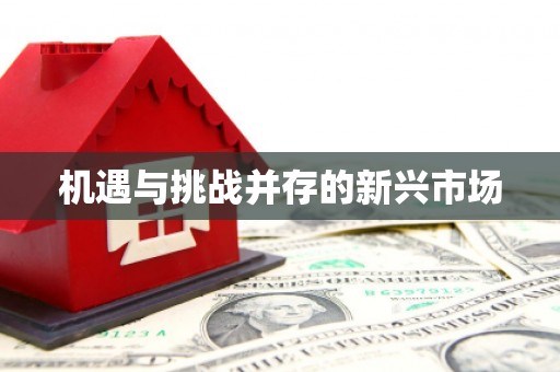 长兴机遇与挑战并存的新兴市场