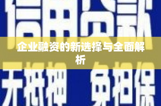 长兴企业融资的新选择与全面解析
