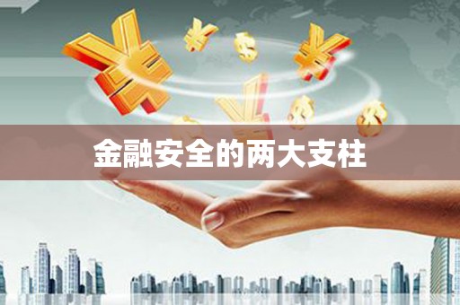 长兴金融安全的两大支柱