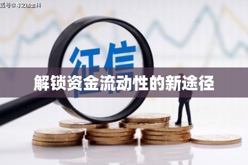 长兴解锁资金流动性的新途径